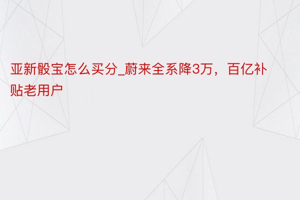 亚新骰宝怎么买分_蔚来全系降3万，百亿补贴老用户