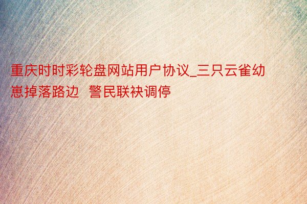 重庆时时彩轮盘网站用户协议_三只云雀幼崽掉落路边  警民联袂调停