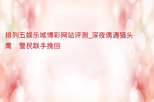 排列五娱乐城博彩网站评测_深夜偶遇猫头鹰   警民联手挽回
