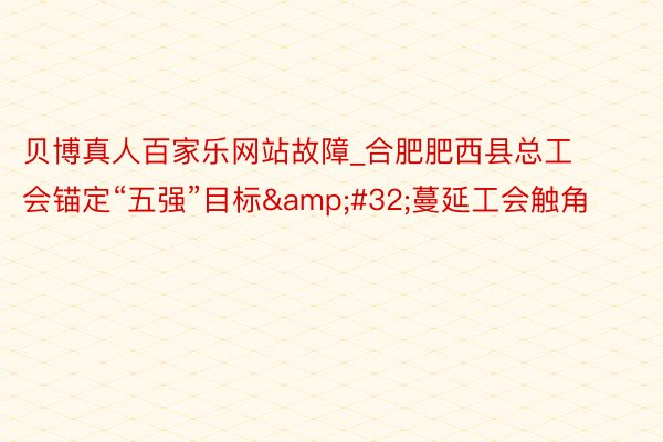 贝博真人百家乐网站故障_合肥肥西县总工会锚定“五强”目标&#32;蔓延工会触角